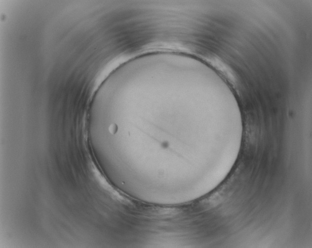 X0000088371382200706191232