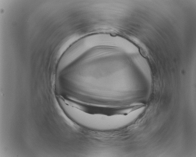 X0000088371383200706191232