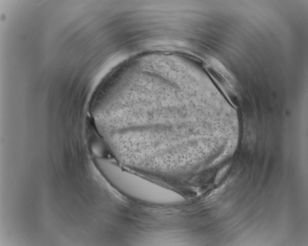 X0000088371384200706191232