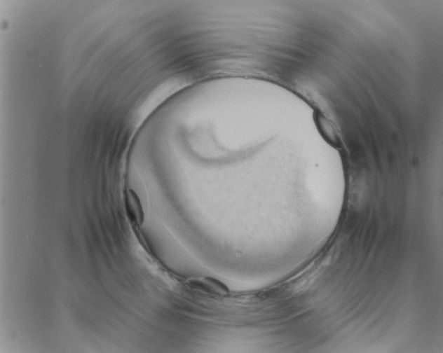 X0000088371386200706191232