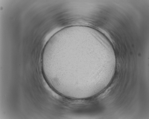 X0000088371387200706191232