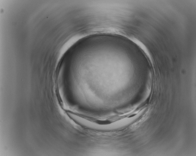 X0000088371389200706191232