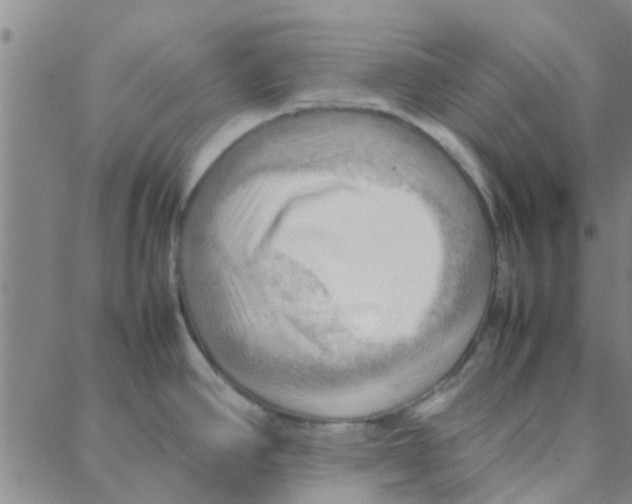 X0000088371390200706191232