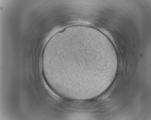 X0000088371391200706191232