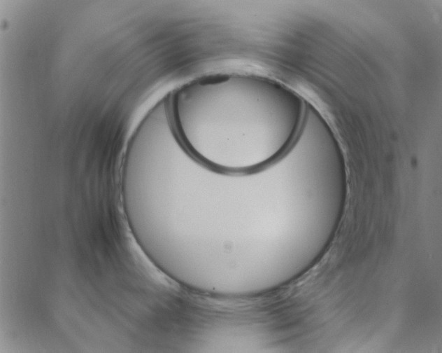 X0000088371392200706191232