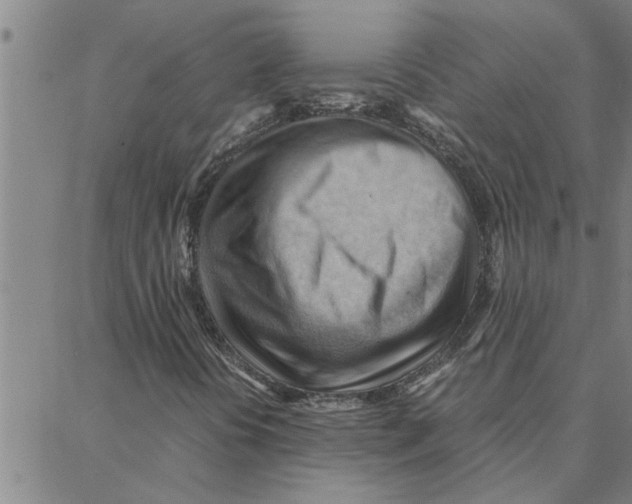 X0000088371394200706191231