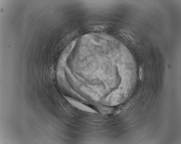 X0000088371395200706191231