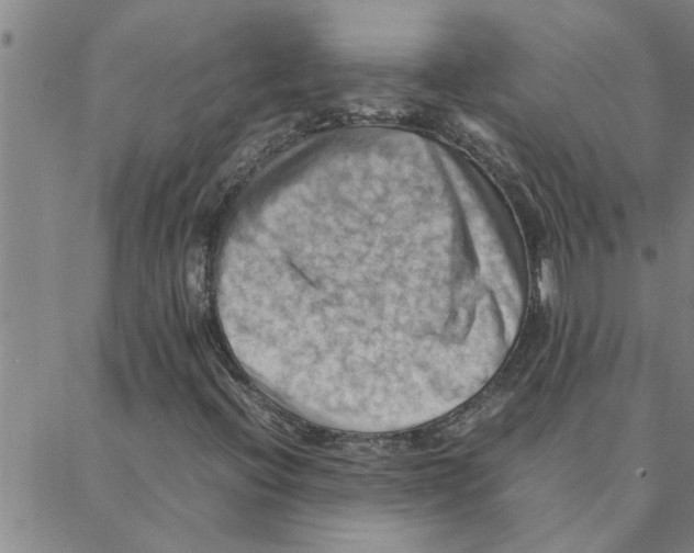 X0000088371396200706191231