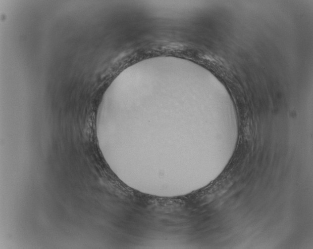 X0000088371397200706191231