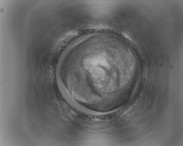 X0000088371398200706191231