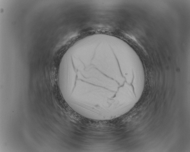 X0000088371399200706191231