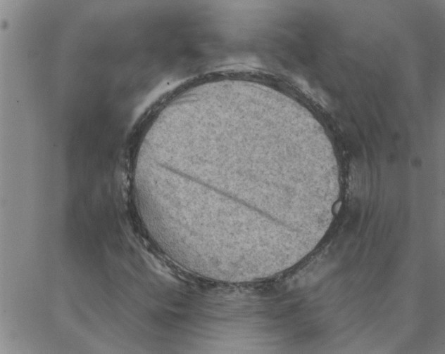 X0000088371400200706191231