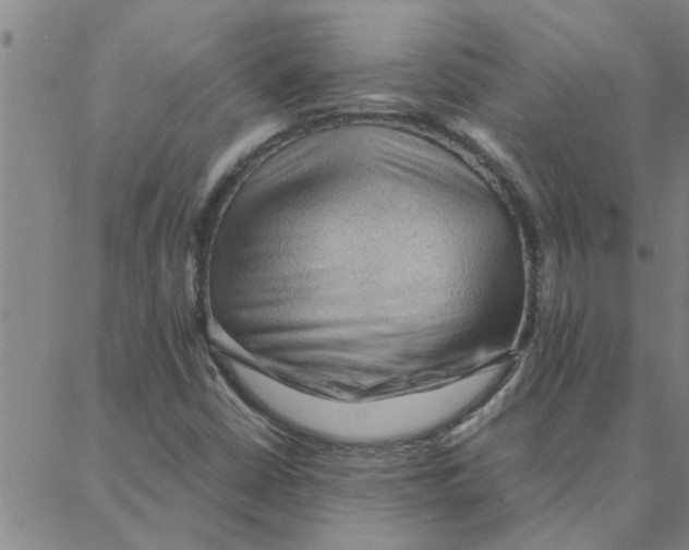 X0000088371402200706191231