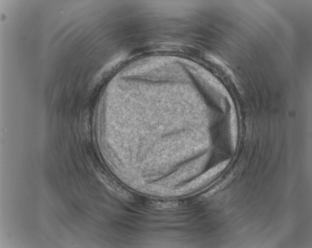 X0000088371403200706191231