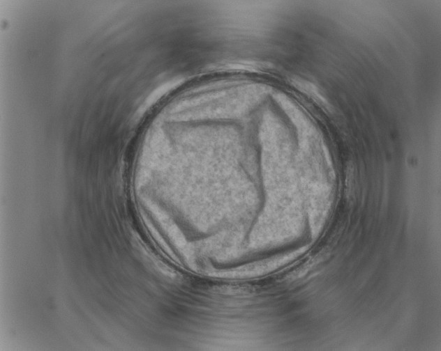 X0000088371404200706191231