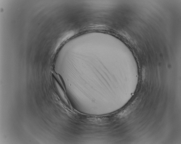 X0000088371405200706191231