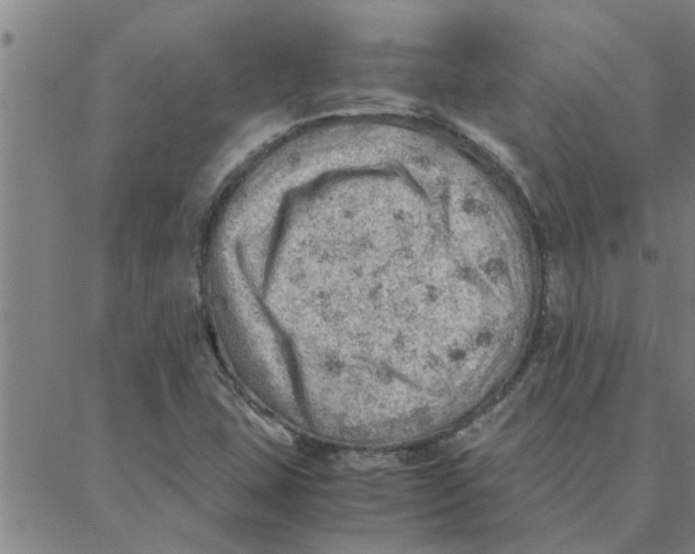 X0000088371407200706191232