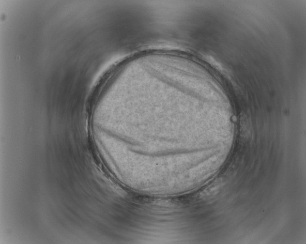 X0000088371408200706191232