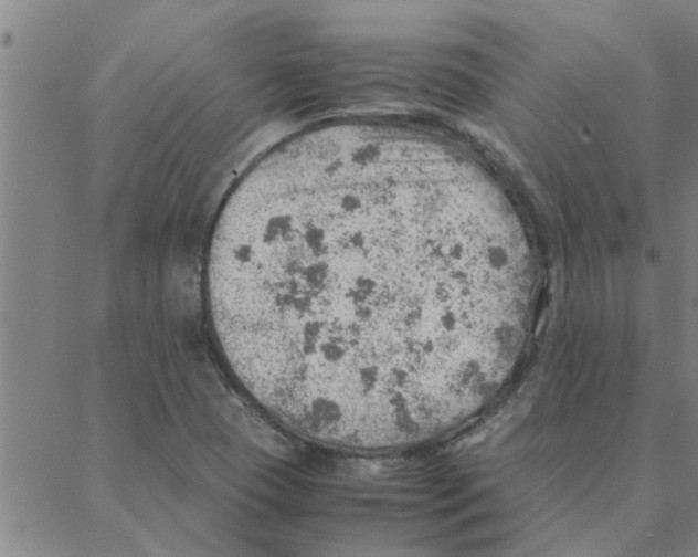 X0000088371409200706191232