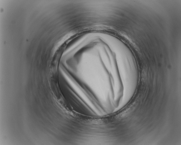 X0000088371410200706191232