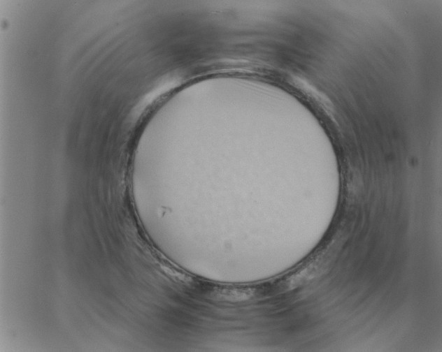 X0000088371411200706191232