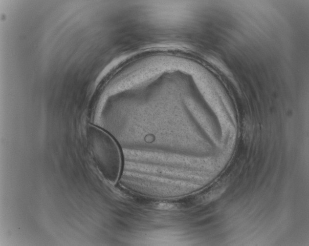 X0000088371412200706191232