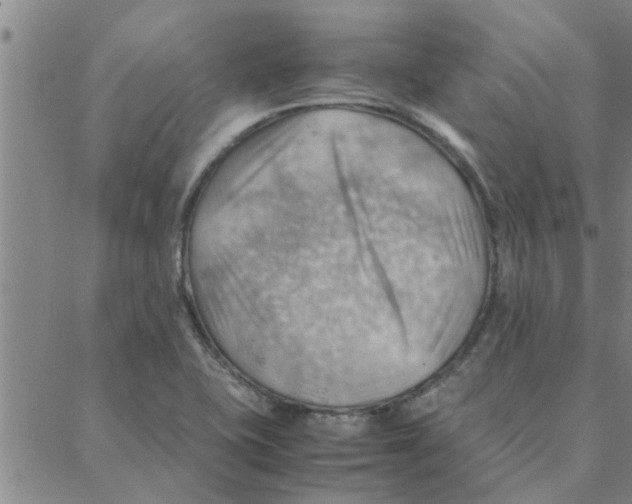 X0000088371415200706191232