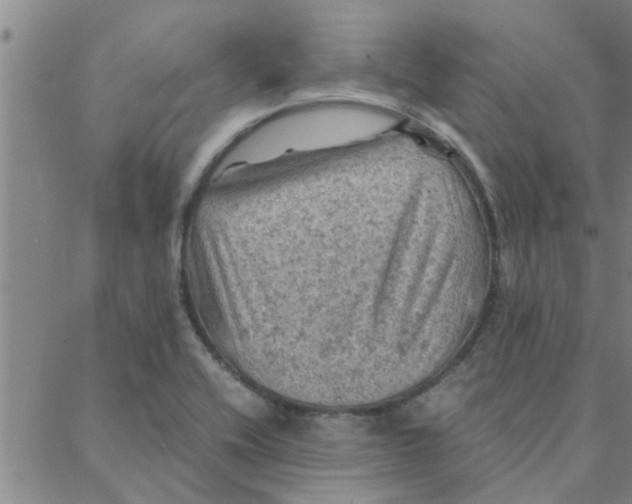 X0000088371416200706191232