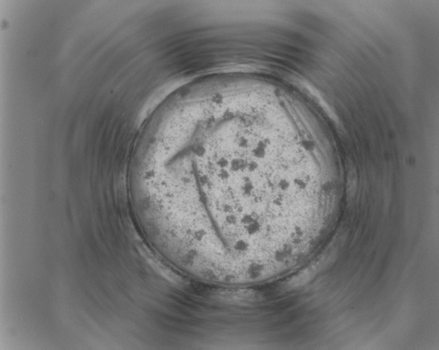 X0000088371417200706191232