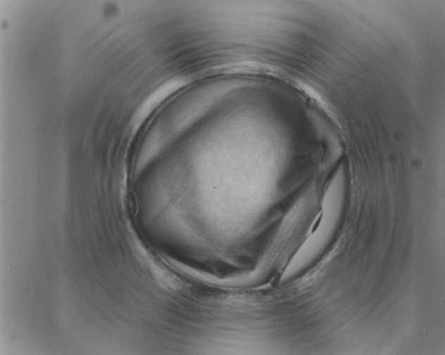 X0000088371418200706191232