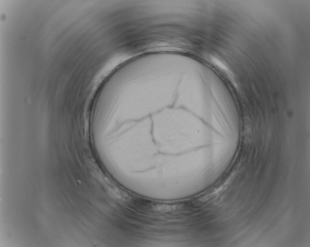 X0000088371419200706191232