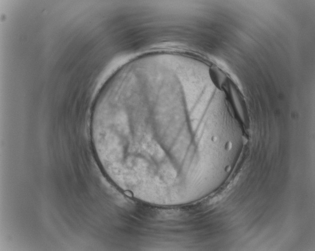 X0000088371421200706191232