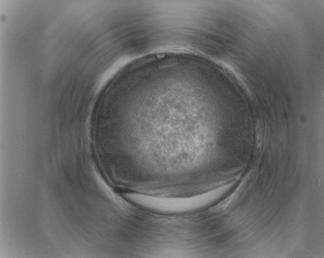 X0000088371422200706191232