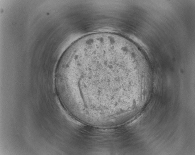 X0000088371423200706191232