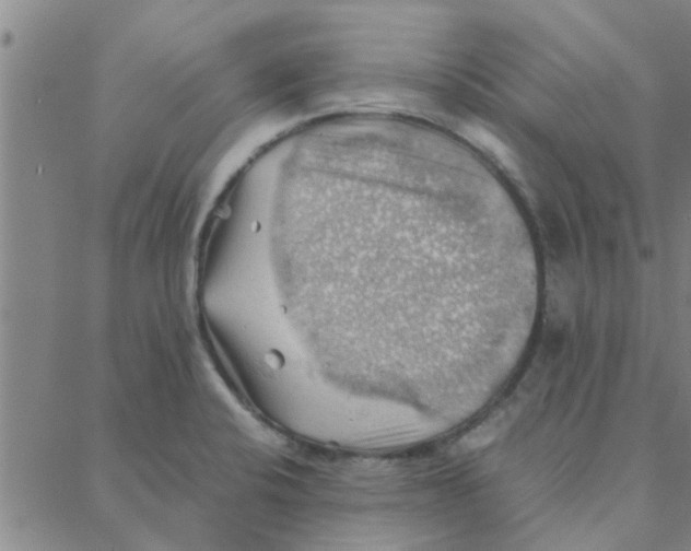 X0000088371424200706191232