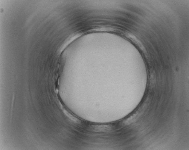 X0000088371425200706191232