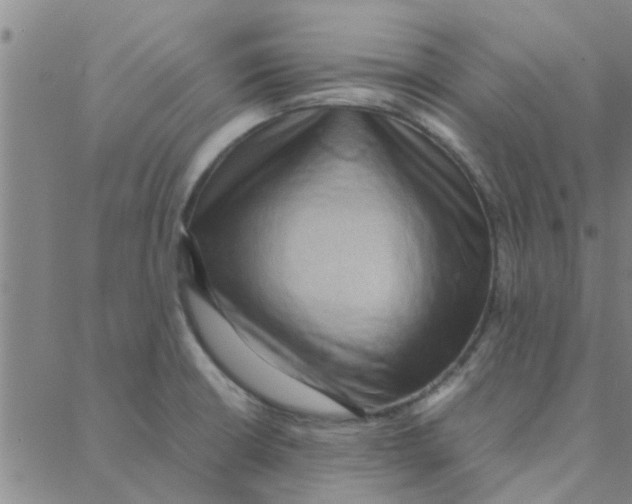 X0000088371426200706191232