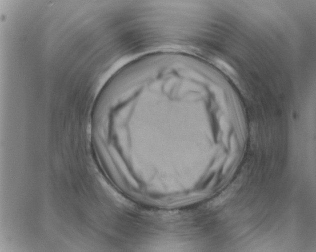 X0000088371428200706191232