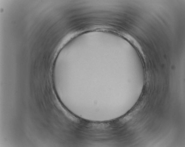 X0000088371429200706191232