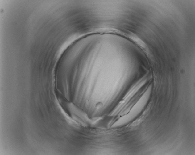 X0000088371430200706191232