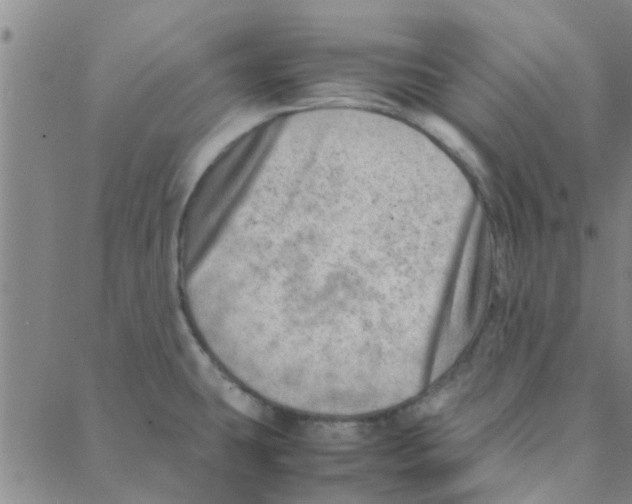 X0000088371431200706191232