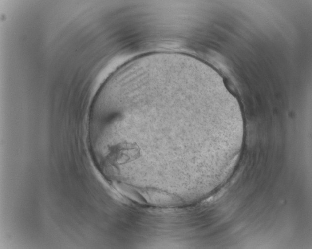 X0000088371432200706191232