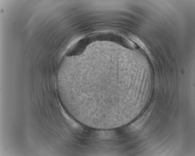 X0000088371433200706191232