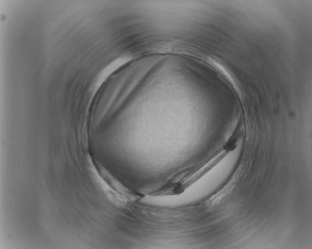 X0000088371434200706191232