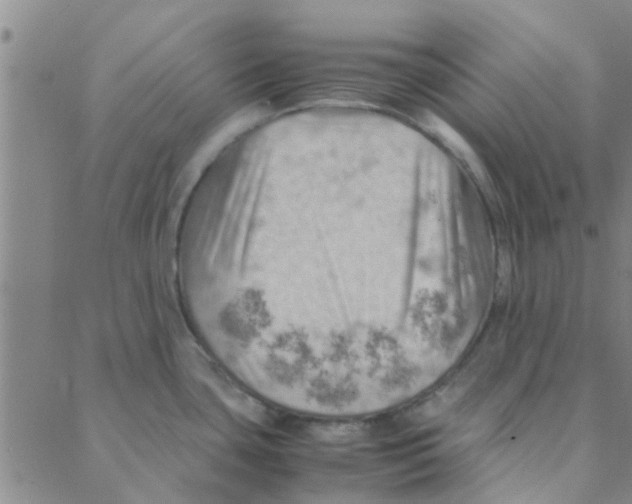 X0000088371435200706191232