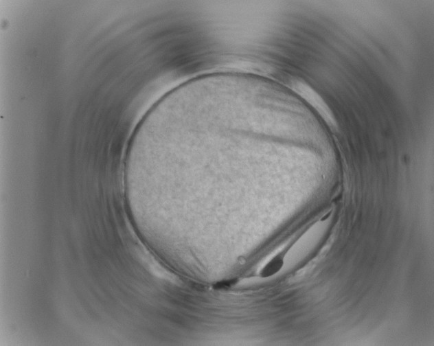 X0000088371436200706191232