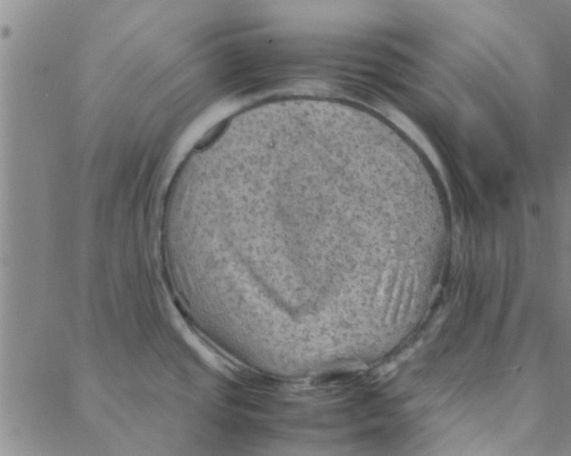 X0000088371437200706191232