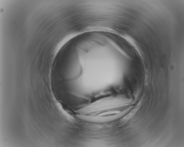 X0000088371438200706191232