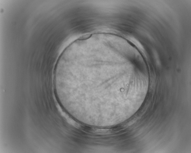 X0000088371439200706191232