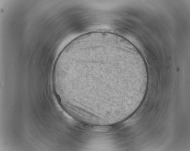 X0000088371440200706191232